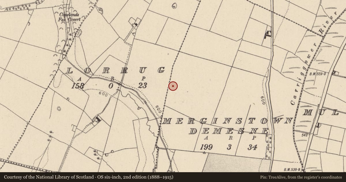 Ordnance Survey six-inch map, 2nd edition (1888–1915) covering the location of Burial mound, Merginstown Demesne, County Wicklow, with a pin at the register's coordinates