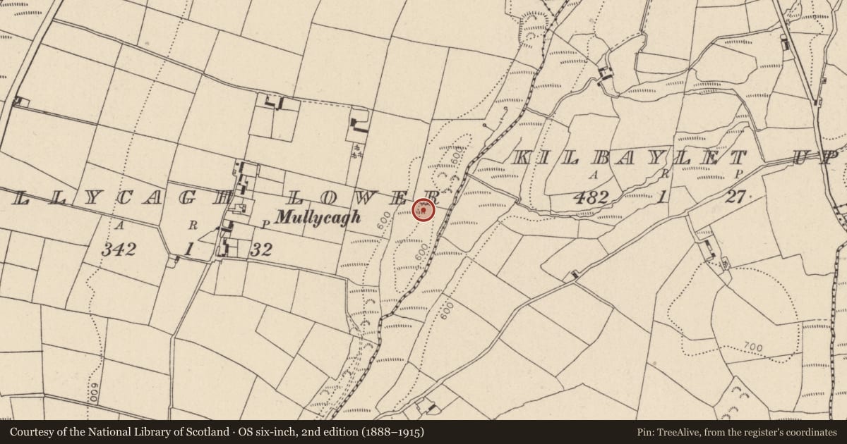 Ordnance Survey six-inch map, 2nd edition (1888–1915) covering the location of Hut site, Mullycagh Lower, County Wicklow, with a pin at the register's coordinates