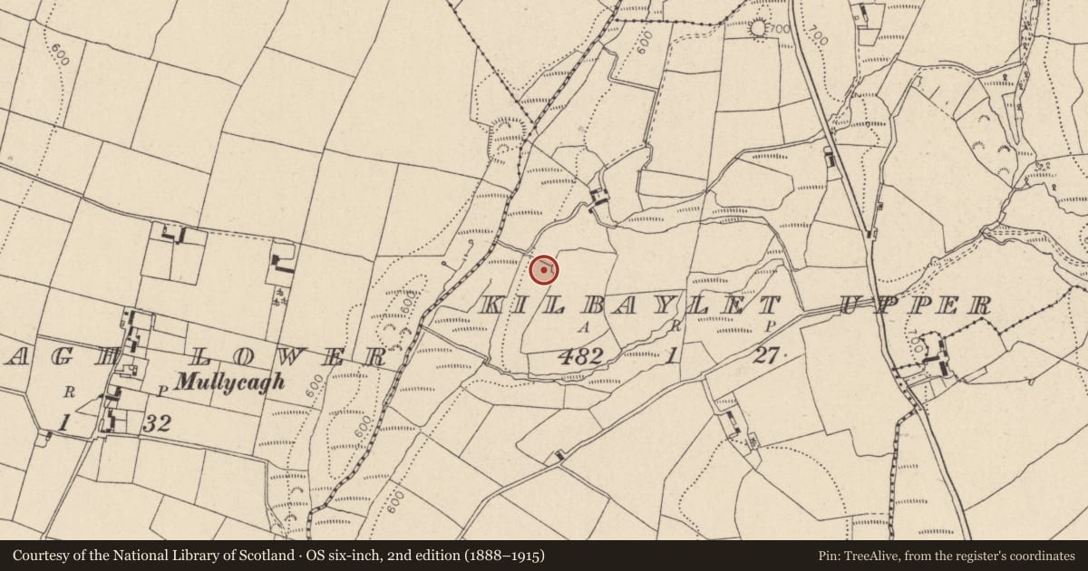 Ordnance Survey six-inch map, 2nd edition (1888–1915) covering the location of Ritual site - holy/saint's stone, Kilbaylet Upper, County Wicklow, with a pin at the register's coordinates