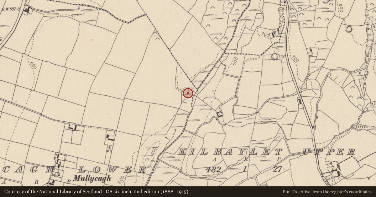 Ordnance Survey six-inch map, 2nd edition (1888–1915) covering the location of Enclosure, Mullycagh Upper, County Wicklow, with a pin at the register's coordinates