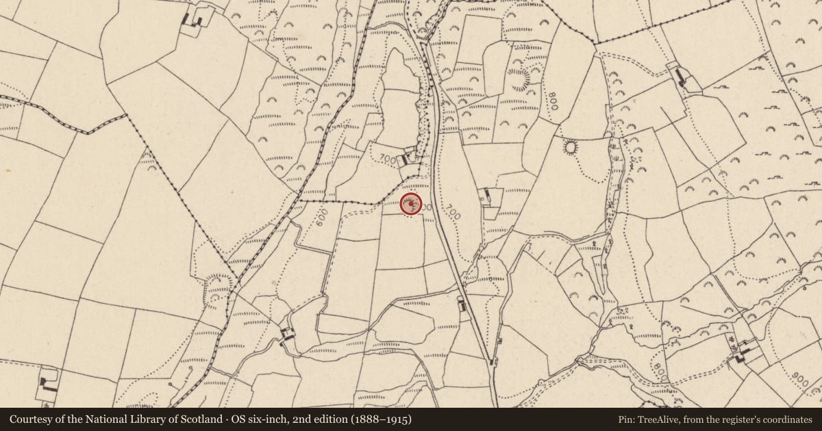 Ordnance Survey six-inch map, 2nd edition (1888–1915) covering the location of Enclosure, Kilbaylet Upper, County Wicklow, with a pin at the register's coordinates