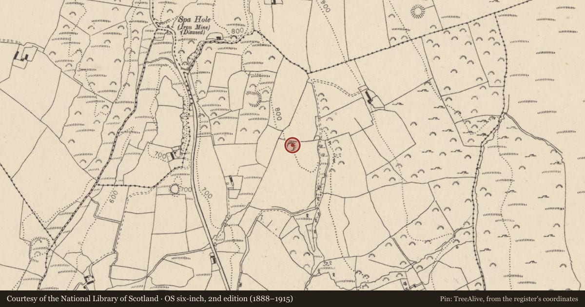 Ordnance Survey six-inch map, 2nd edition (1888–1915) covering the location of Ringfort - rath, Kilbaylet Upper, County Wicklow, with a pin at the register's coordinates