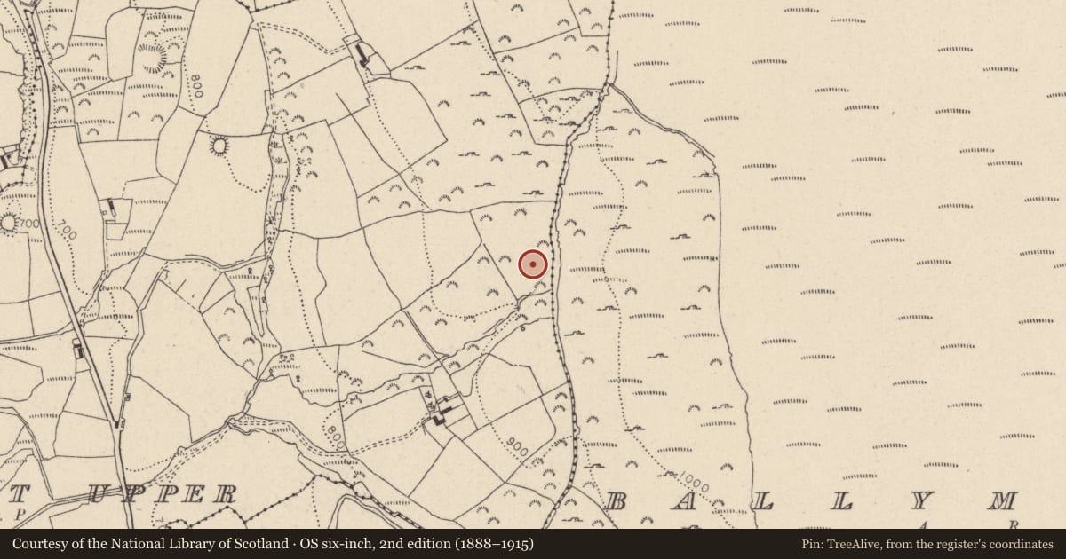 Ordnance Survey six-inch map, 2nd edition (1888–1915) covering the location of Stone row, Kilbaylet Upper, County Wicklow, with a pin at the register's coordinates