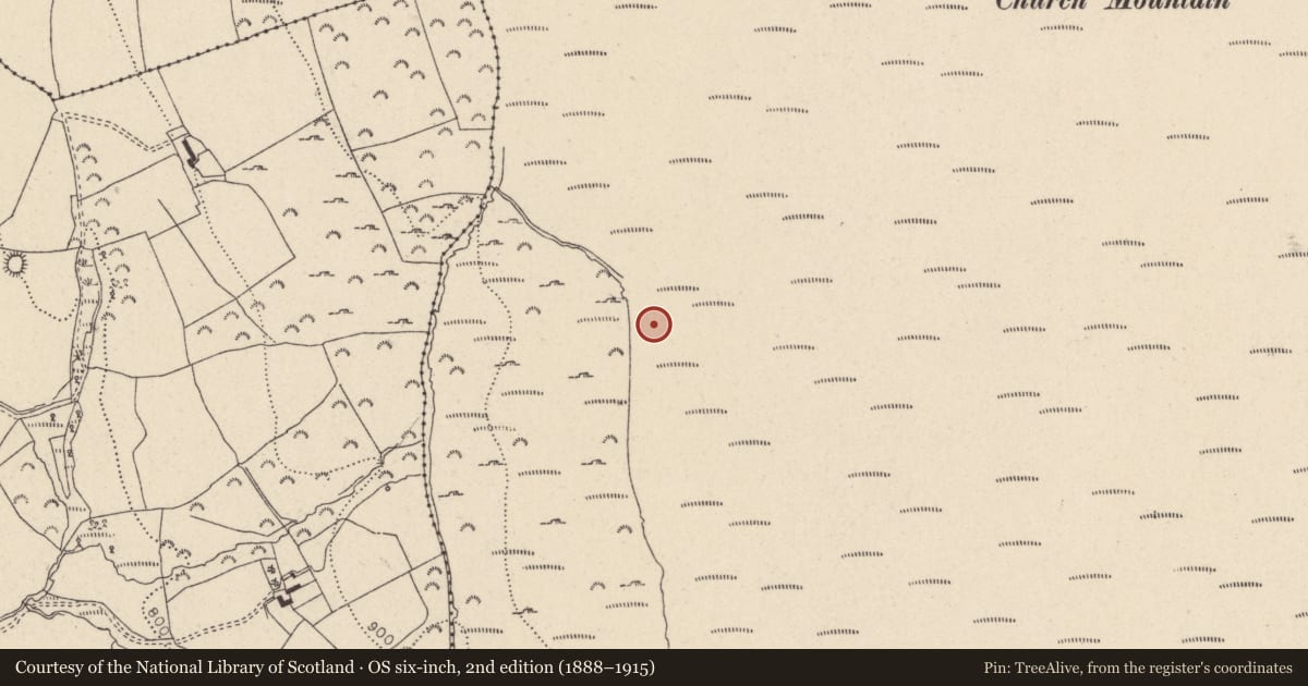 Ordnance Survey six-inch map, 2nd edition (1888–1915) covering the location of Hut site, Ballymooney, County Wicklow, with a pin at the register's coordinates