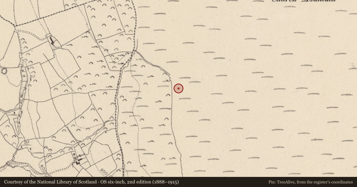 Ordnance Survey six-inch map, 2nd edition (1888–1915) covering the location of Hut site, Ballymooney, County Wicklow, with a pin at the register's coordinates