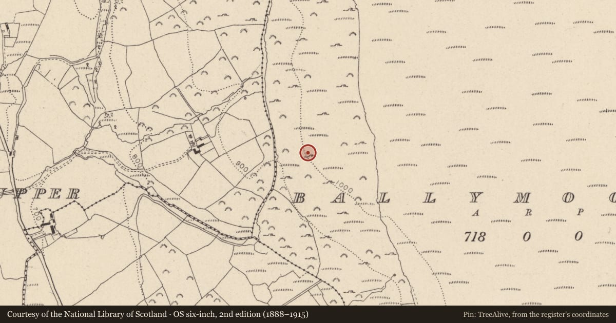 Ordnance Survey six-inch map, 2nd edition (1888–1915) covering the location of Clochan, Ballymooney, County Wicklow, with a pin at the register's coordinates