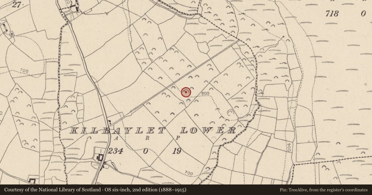 Ordnance Survey six-inch map, 2nd edition (1888–1915) covering the location of Enclosure, Kilbaylet Lower, County Wicklow, with a pin at the register's coordinates