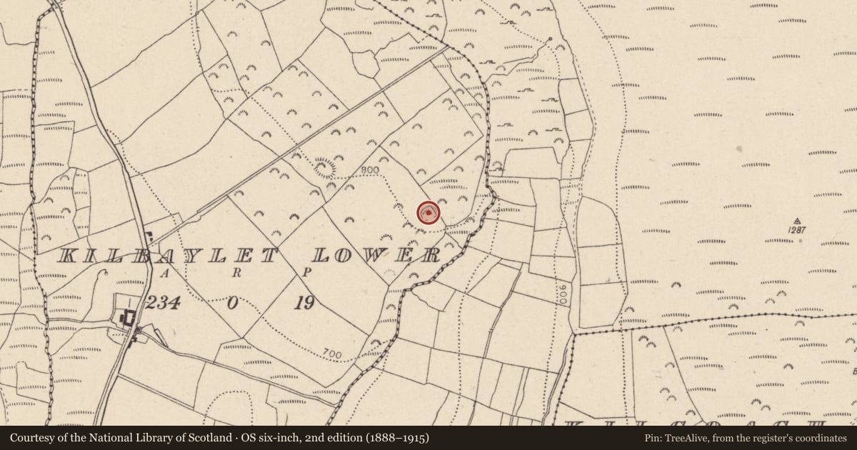 Ordnance Survey six-inch map, 2nd edition (1888–1915) covering the location of Enclosure, Kilbaylet Lower, County Wicklow, with a pin at the register's coordinates