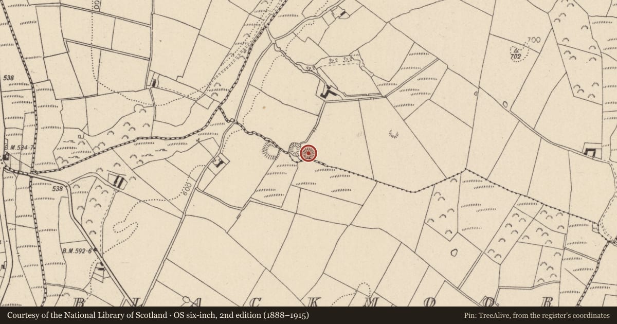Ordnance Survey six-inch map, 2nd edition (1888–1915) covering the location of Ringfort - rath, Kilbaylet Upper, County Wicklow, with a pin at the register's coordinates