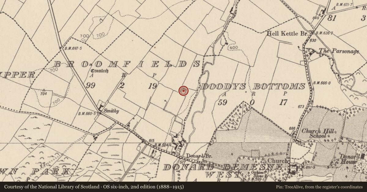 Ordnance Survey six-inch map, 2nd edition (1888–1915) covering the location of Ringfort - rath, Broomfields, County Wicklow, with a pin at the register's coordinates