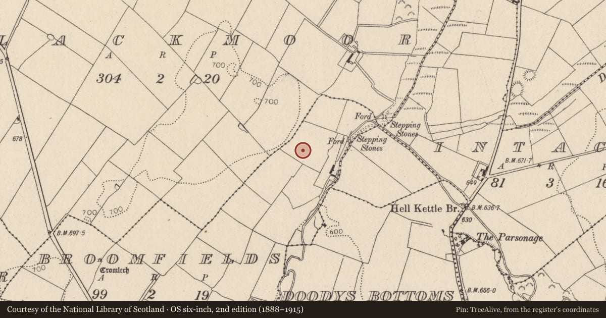 Ordnance Survey six-inch map, 2nd edition (1888–1915) covering the location of Enclosure, Broomfields, County Wicklow, with a pin at the register's coordinates