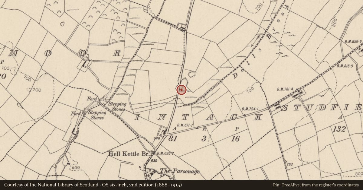 Ordnance Survey six-inch map, 2nd edition (1888–1915) covering the location of Rock art, Kilbaylet Lower, County Wicklow, with a pin at the register's coordinates