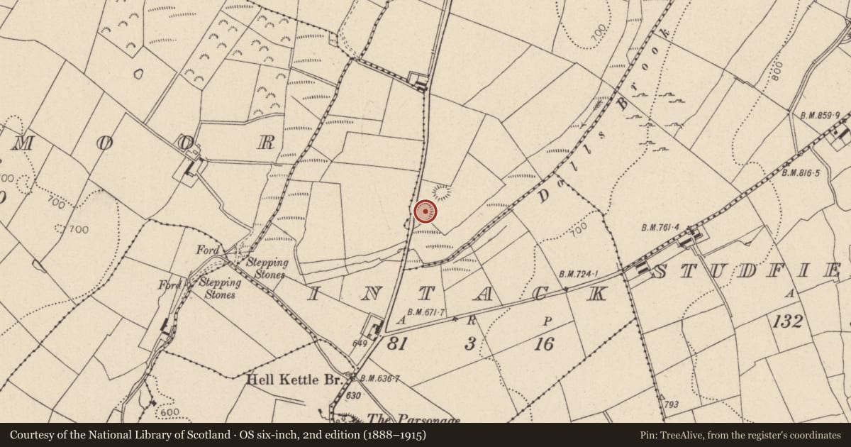 Ordnance Survey six-inch map, 2nd edition (1888–1915) covering the location of Ringfort - rath, Kilbaylet Lower, County Wicklow, with a pin at the register's coordinates