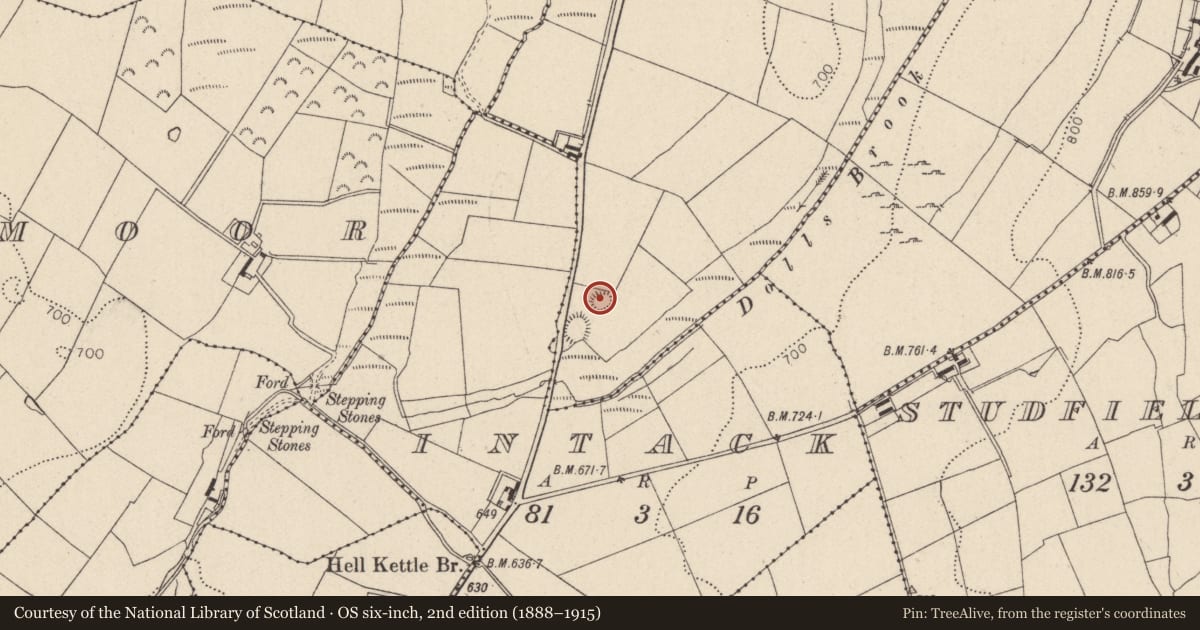Ordnance Survey six-inch map, 2nd edition (1888–1915) covering the location of Ringfort - unclassified, Kilbaylet Lower, County Wicklow, with a pin at the register's coordinates