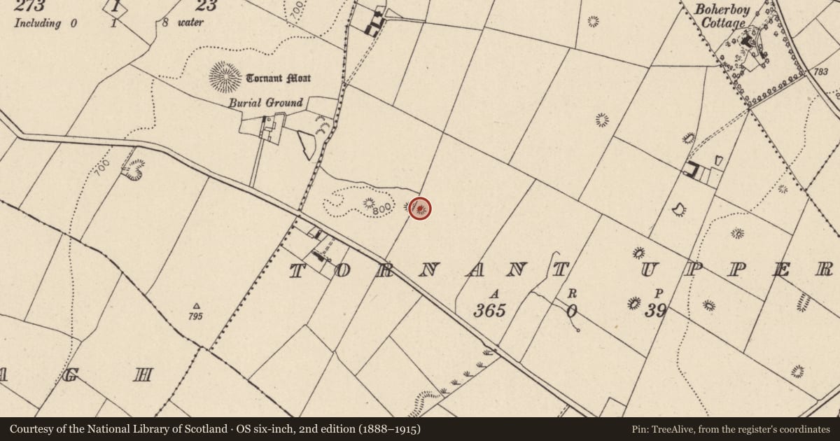 Ordnance Survey six-inch map, 2nd edition (1888–1915) covering the location of Enclosure, Tornant Upper, County Wicklow, with a pin at the register's coordinates