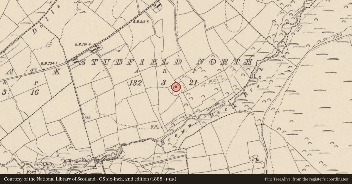 Ordnance Survey six-inch map, 2nd edition (1888–1915) covering the location of Settlement deserted - medieval, Studfield North, County Wicklow, with a pin at the register's coordinates