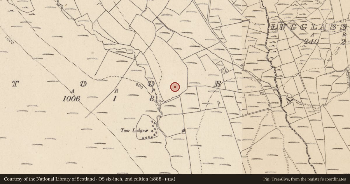Ordnance Survey six-inch map, 2nd edition (1888–1915) covering the location of Standing stone, Toor, County Wicklow, with a pin at the register's coordinates
