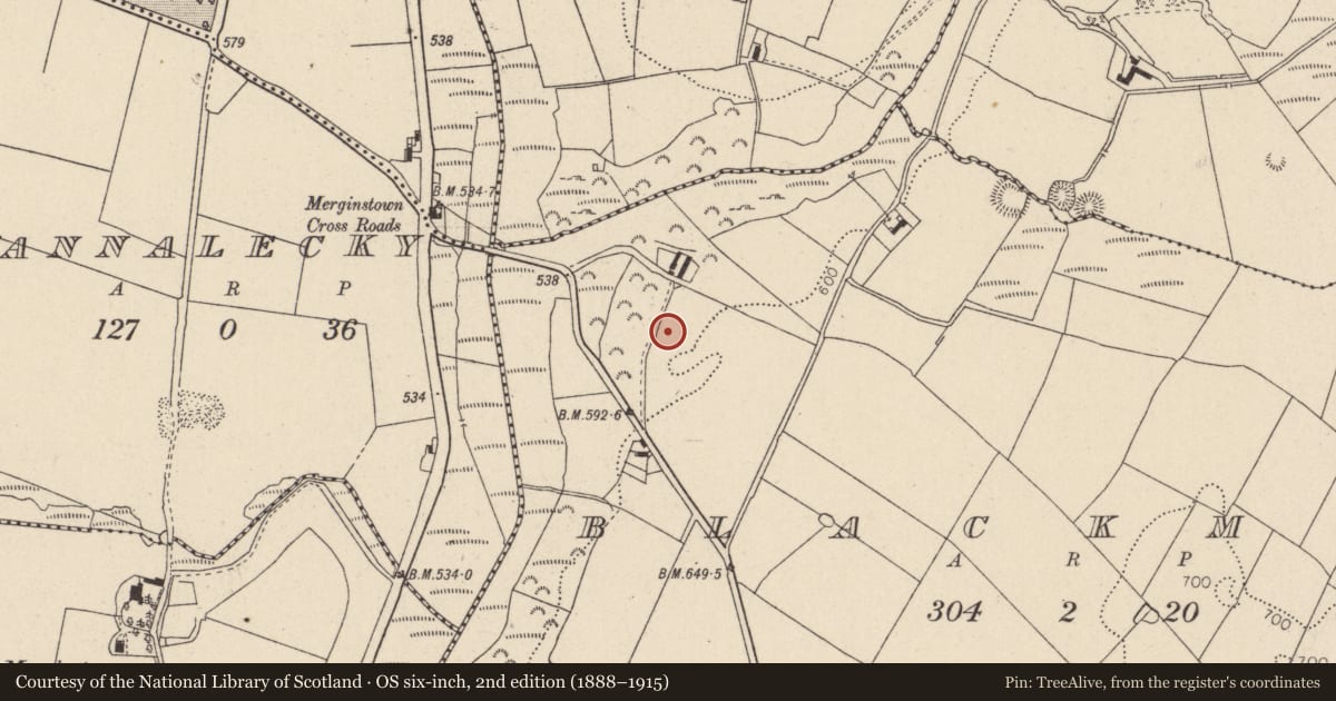 Ordnance Survey six-inch map, 2nd edition (1888–1915) covering the location of Standing stone, Blackmoor, County Wicklow, with a pin at the register's coordinates