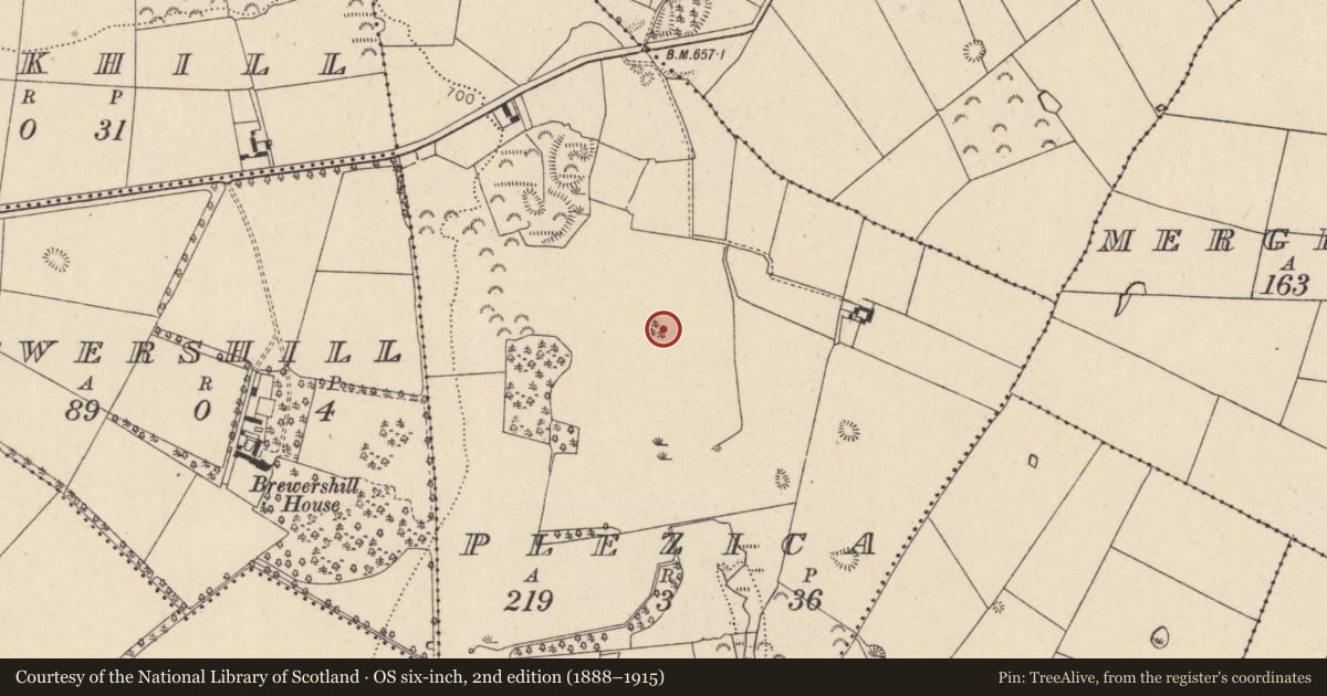Ordnance Survey six-inch map, 2nd edition (1888–1915) covering the location of Stone circle, Plezica, County Wicklow, with a pin at the register's coordinates