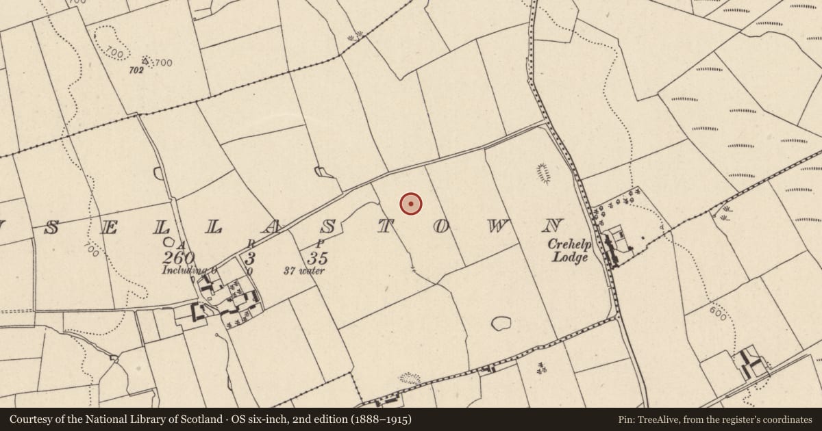 Ordnance Survey six-inch map, 2nd edition (1888–1915) covering the location of Standing stone, Kinsellastown, County Wicklow, with a pin at the register's coordinates