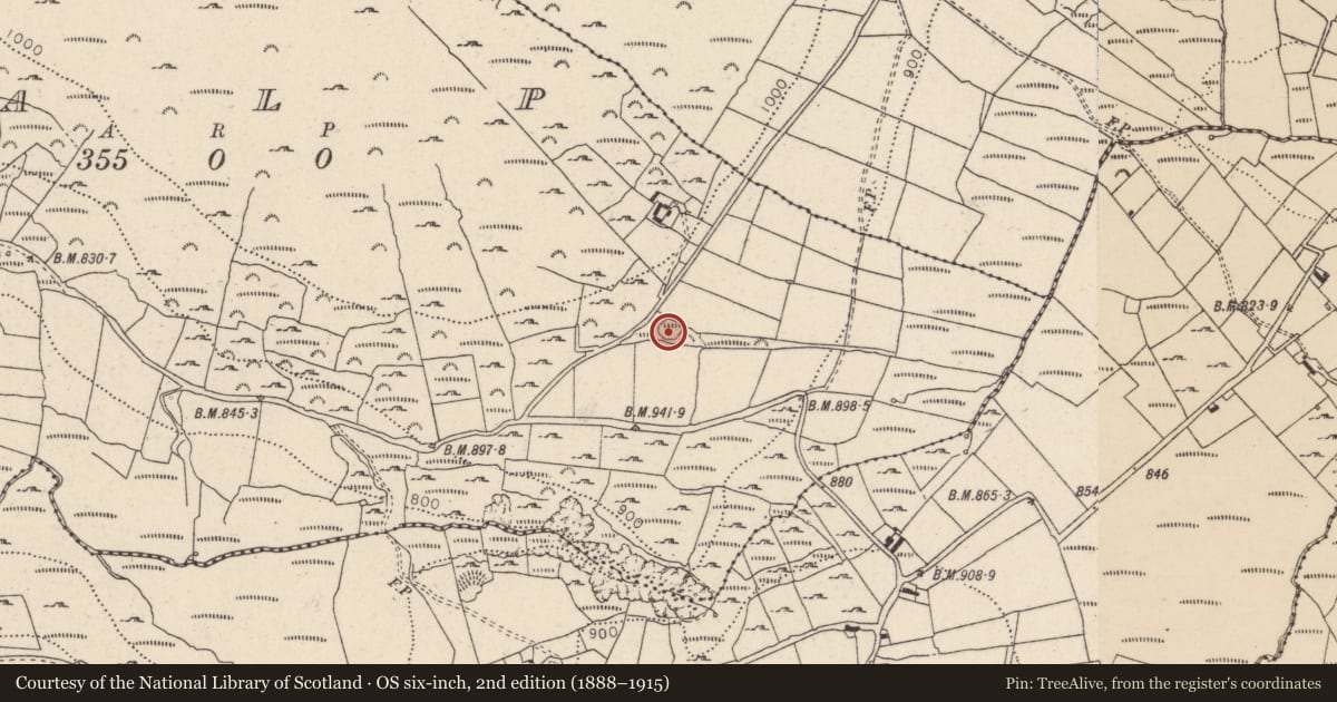 Ordnance Survey six-inch map, 2nd edition (1888–1915) covering the location of Enclosure, Scalp, County Wicklow, with a pin at the register's coordinates