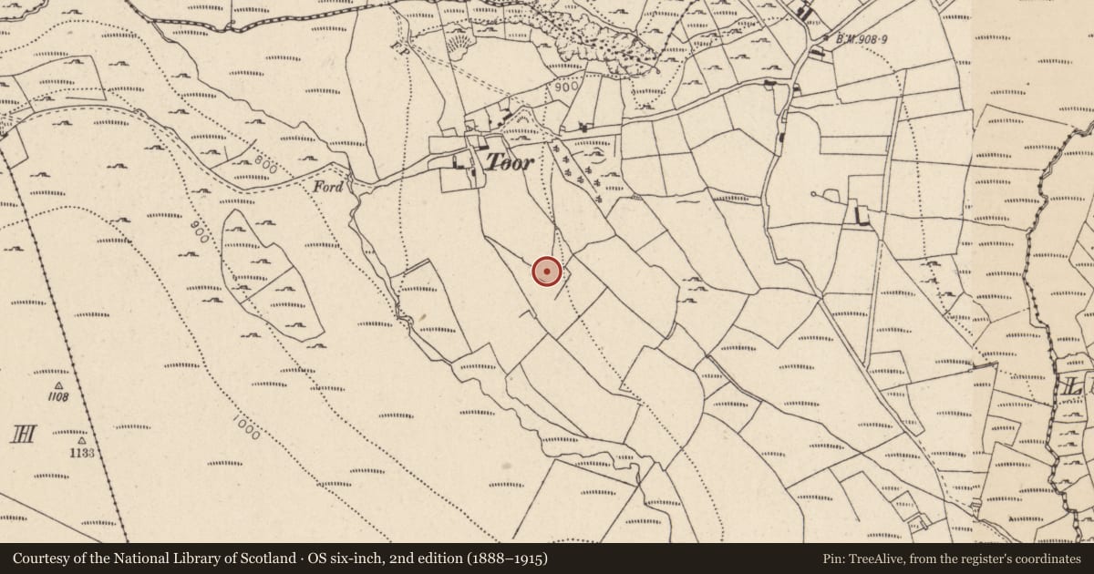 Ordnance Survey six-inch map, 2nd edition (1888–1915) covering the location of Enclosure, Toor, County Wicklow, with a pin at the register's coordinates
