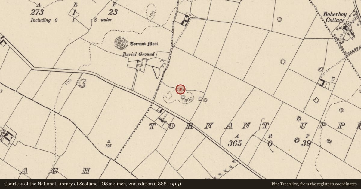 Ordnance Survey six-inch map, 2nd edition (1888–1915) covering the location of Burial, Tornant Upper, County Wicklow, with a pin at the register's coordinates