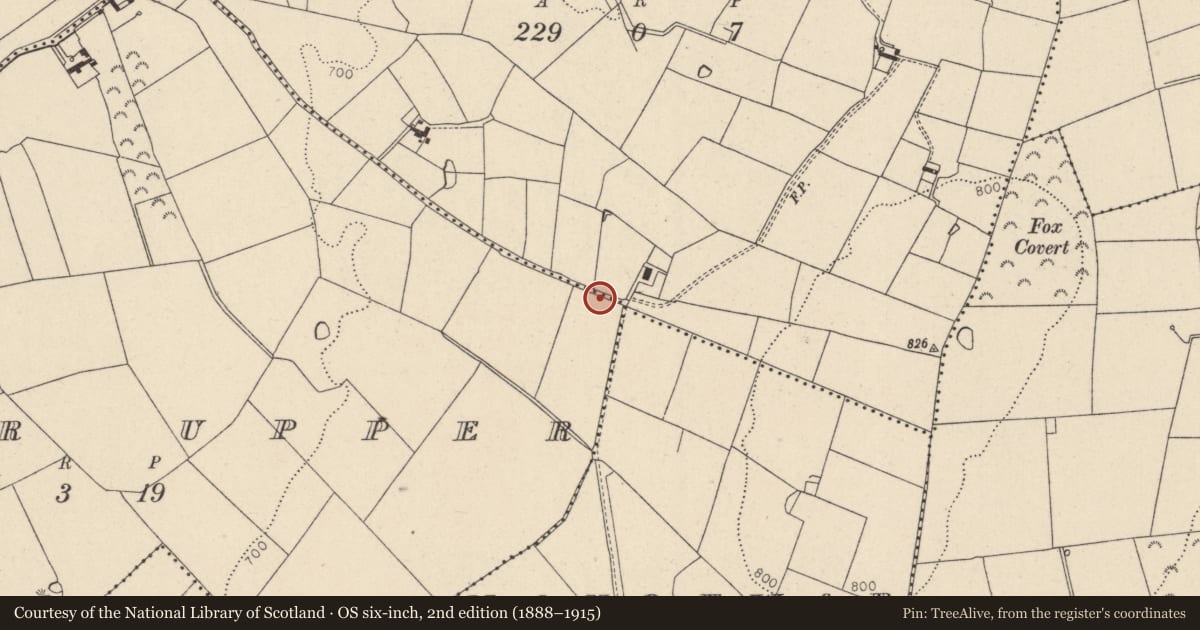 Ordnance Survey six-inch map, 2nd edition (1888–1915) covering the location of Burnt pit, Tober Upper, County Wicklow, with a pin at the register's coordinates