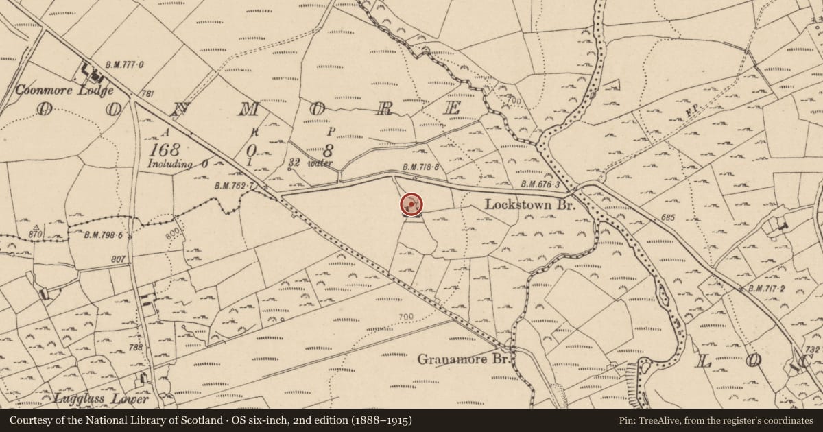 Ordnance Survey six-inch map, 2nd edition (1888–1915) covering the location of Ringfort - cashel, Coonmore, County Wicklow, with a pin at the register's coordinates
