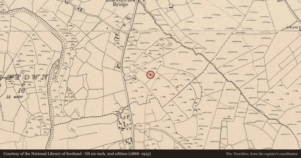 Ordnance Survey six-inch map, 2nd edition (1888–1915) covering the location of Cross, Lockstown Lower, County Wicklow, with a pin at the register's coordinates