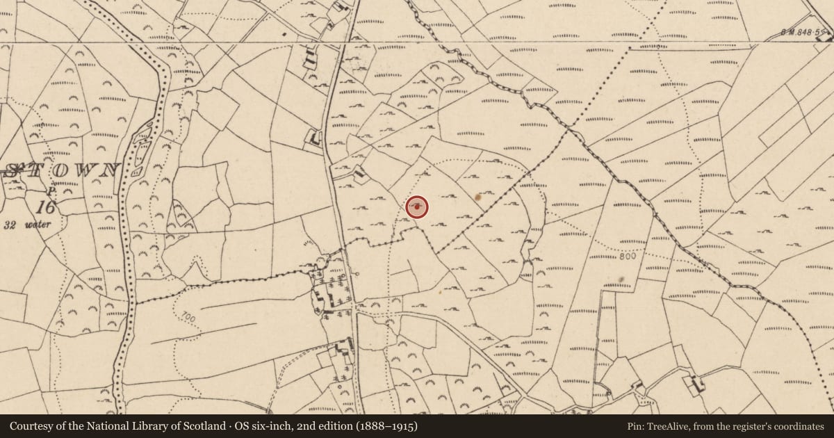 Ordnance Survey six-inch map, 2nd edition (1888–1915) covering the location of Enclosure, Lockstown Lower, County Wicklow, with a pin at the register's coordinates