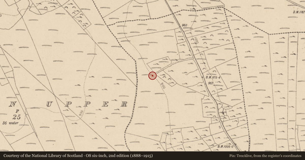 Ordnance Survey six-inch map, 2nd edition (1888–1915) covering the location of Cross-inscribed pillar, Granabeg Upper, County Wicklow, with a pin at the register's coordinates