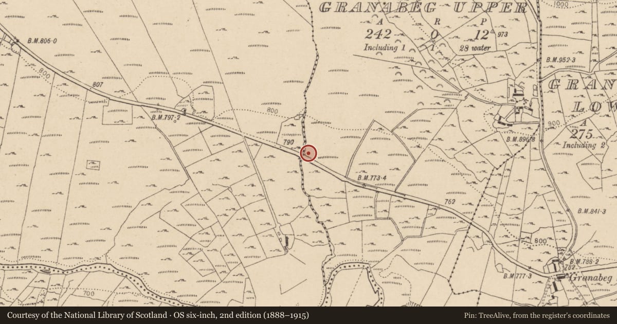 Ordnance Survey six-inch map, 2nd edition (1888–1915) covering the location of Cross-inscribed pillar, Granabeg Upper, County Wicklow, with a pin at the register's coordinates
