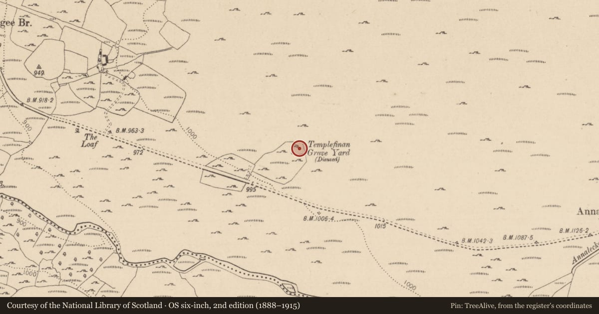 Ordnance Survey six-inch map, 2nd edition (1888–1915) covering the location of Graveyard, Ballinagee, County Wicklow, with a pin at the register's coordinates
