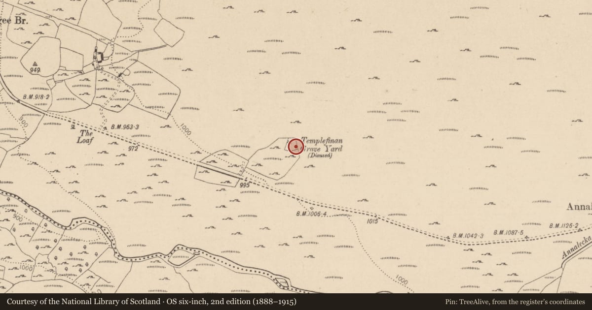 Ordnance Survey six-inch map, 2nd edition (1888–1915) covering the location of Children's burial ground, Ballinagee, County Wicklow, with a pin at the register's coordinates