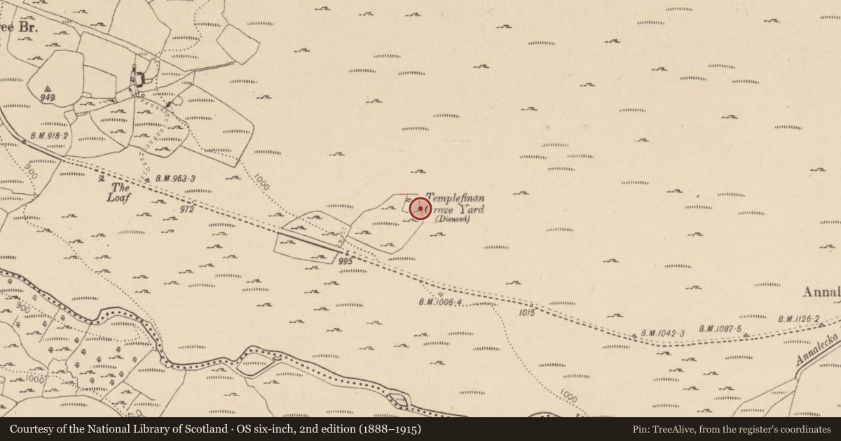 Ordnance Survey six-inch map, 2nd edition (1888–1915) covering the location of Cairn - unclassified, Ballinagee, County Wicklow, with a pin at the register's coordinates