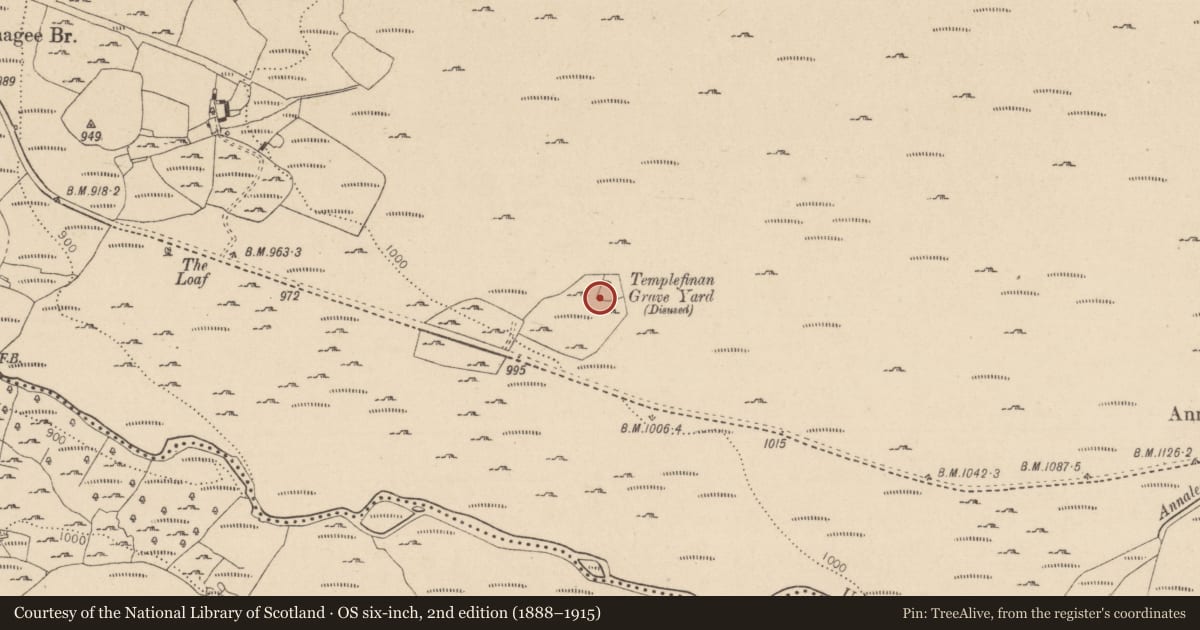 Ordnance Survey six-inch map, 2nd edition (1888–1915) covering the location of Cairn - unclassified, Ballinagee, County Wicklow, with a pin at the register's coordinates
