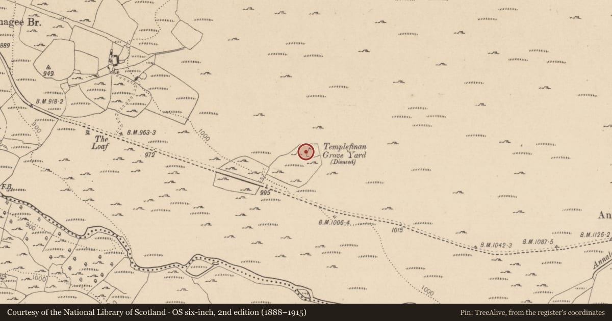 Ordnance Survey six-inch map, 2nd edition (1888–1915) covering the location of Building, Ballinagee, County Wicklow, with a pin at the register's coordinates