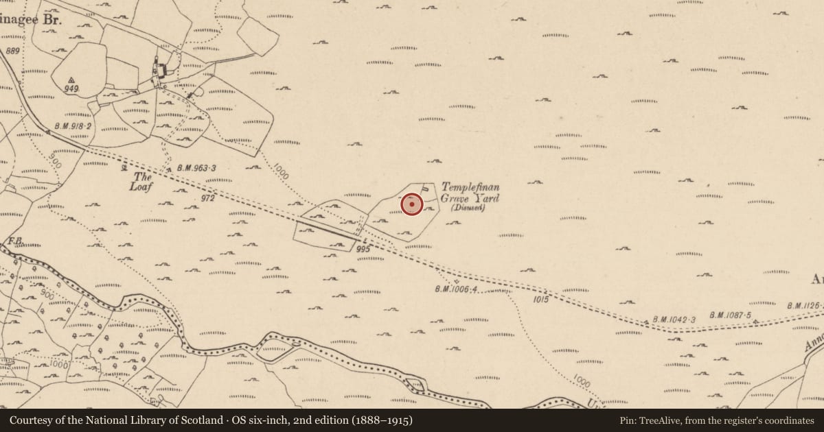 Ordnance Survey six-inch map, 2nd edition (1888–1915) covering the location of Road - road/trackway, Ballinagee, County Wicklow, with a pin at the register's coordinates