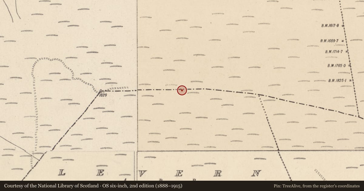 Ordnance Survey six-inch map, 2nd edition (1888–1915) covering the location of Cairn - unclassified, Kilcoagh East, Levern, County Wicklow, with a pin at the register's coordinates