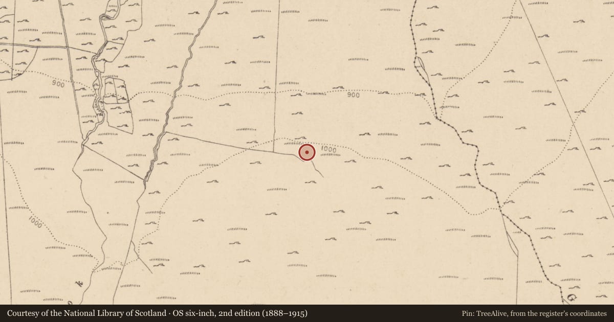 Ordnance Survey six-inch map, 2nd edition (1888–1915) covering the location of Burial ground, Knocknadroose, County Wicklow, with a pin at the register's coordinates