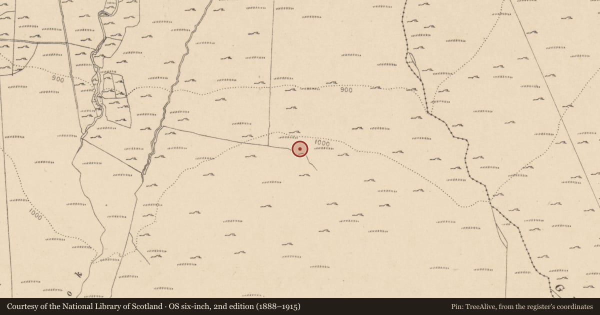 Ordnance Survey six-inch map, 2nd edition (1888–1915) covering the location of Cross, Knocknadroose, County Wicklow, with a pin at the register's coordinates