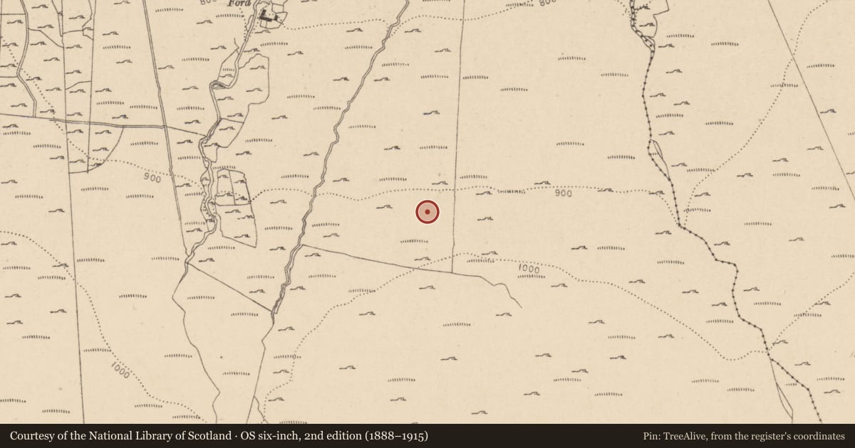 Ordnance Survey six-inch map, 2nd edition (1888–1915) covering the location of Booley hut, Knocknadroose, County Wicklow, with a pin at the register's coordinates