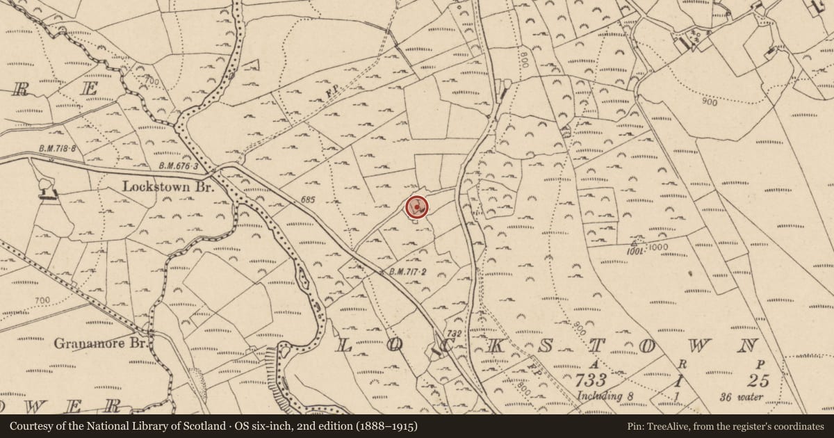 Ordnance Survey six-inch map, 2nd edition (1888–1915) covering the location of Decorated stone, Lockstown Upper, County Wicklow, with a pin at the register's coordinates