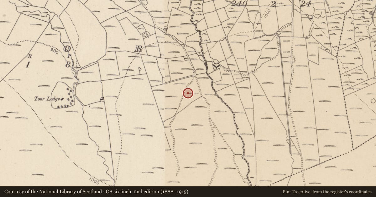 Ordnance Survey six-inch map, 2nd edition (1888–1915) covering the location of Stone circle, Toor, County Wicklow, with a pin at the register's coordinates