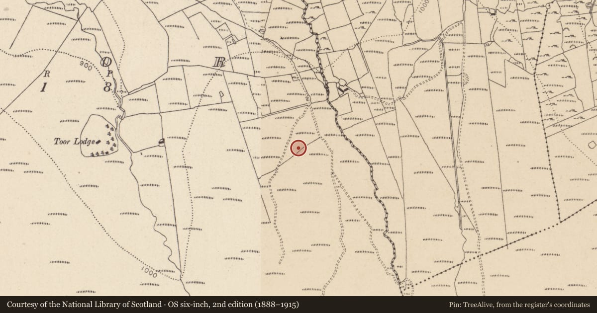 Ordnance Survey six-inch map, 2nd edition (1888–1915) covering the location of Enclosure, Toor, County Wicklow, with a pin at the register's coordinates