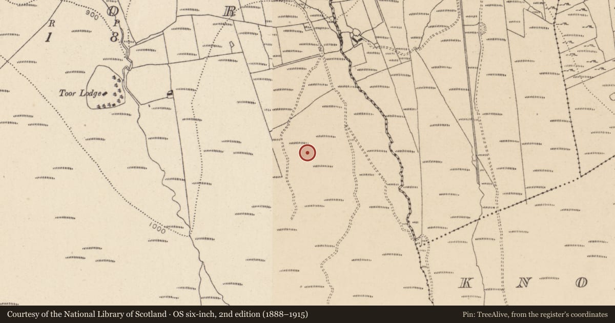 Ordnance Survey six-inch map, 2nd edition (1888–1915) covering the location of Stone circle, Toor, County Wicklow, with a pin at the register's coordinates