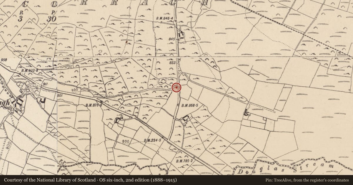 Ordnance Survey six-inch map, 2nd edition (1888–1915) covering the location of Cross-inscribed stone, Slievecorragh, County Wicklow, with a pin at the register's coordinates