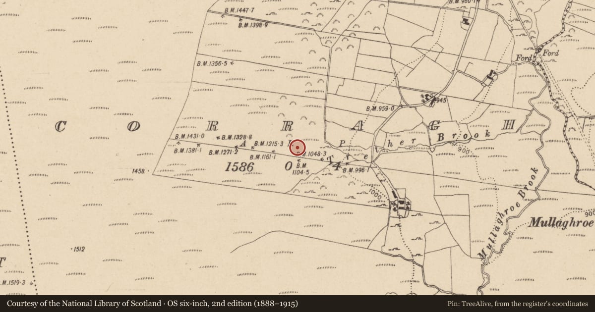 Ordnance Survey six-inch map, 2nd edition (1888–1915) covering the location of Standing stone, Corragh, County Wicklow, with a pin at the register's coordinates