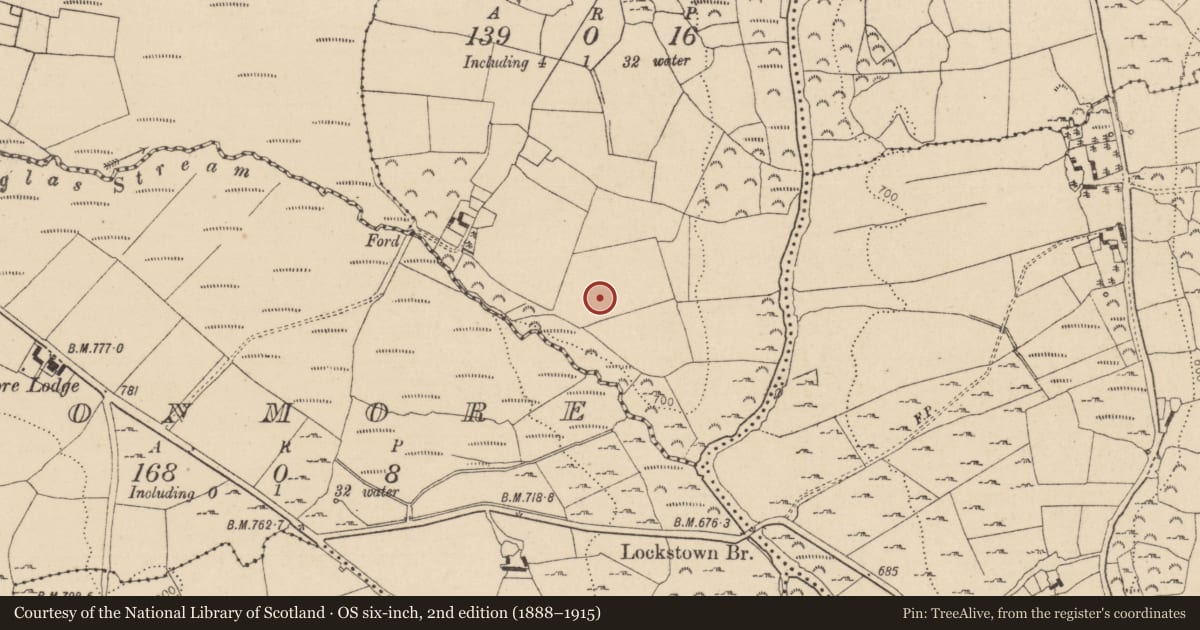 Ordnance Survey six-inch map, 2nd edition (1888–1915) covering the location of Standing stone, Walterstown, County Wicklow, with a pin at the register's coordinates